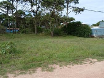 https://web5.gallito.com.uy/venta-terreno-en-punta-del-diablo-inmuebles-27003176