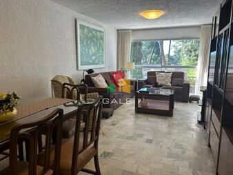 https://web5.gallito.com.uy/tu-refugio-en-punta-del-este-elegancia-y-en-inmuebles-26968719