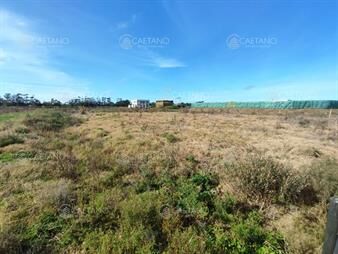 https://www.gallito.com.uy/venta-terreno-camino-eguzquiza-la-barra-punta-inmuebles-24053137