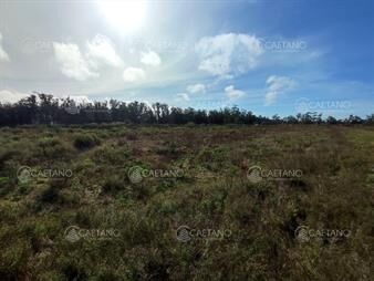 https://www.gallito.com.uy/venta-terreno-camino-eguzquiza-maldonado-inmuebles-27306773