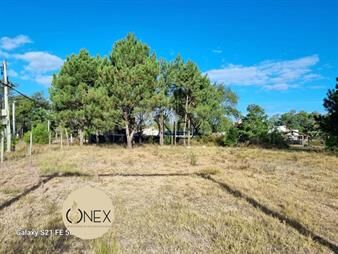 https://www.gallito.com.uy/se-vende-excelente-terreno-en-pinar-sur-inmuebles-27306944