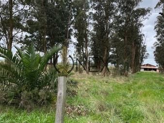 https://www.gallito.com.uy/se-vende-campo-en-sauce-canelones-muy-buen-inmuebles-27306981