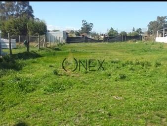 https://web5.gallito.com.uy/venta-de-terreno-citygolf-inmuebles-27307009