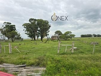 https://www.gallito.com.uy/campo-en-rural-inmuebles-27307201