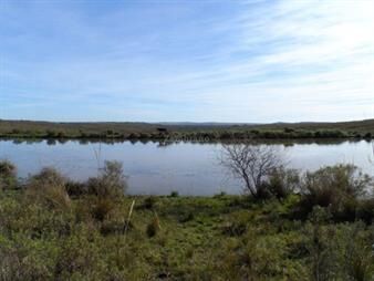 https://www.gallito.com.uy/campo-ganadero-i-cerro-largo-i-ha-1450-ic-57-inmuebles-26416888