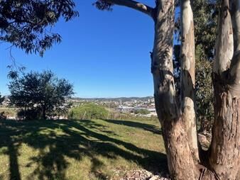 https://web5.gallito.com.uy/venta-de-terreno-con-tres-casas-en-minas-inmuebles-27284161