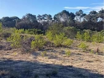 https://www.gallito.com.uy/terreno-sobre-aroyo-el-potrero-ocean-park-inmuebles-27306264