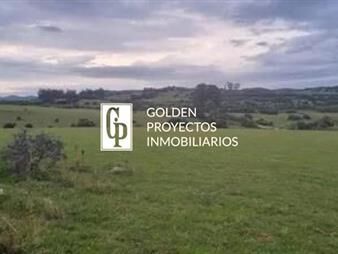 https://web5.gallito.com.uy/venta-de-chacra-a-5-km-de-pueblo-eden-y-ruta-12-inmuebles-26761079