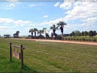 https://www.gallito.com.uy/lote-en-venta-en-pueblo-mio-manantiales-inmuebles-25047031