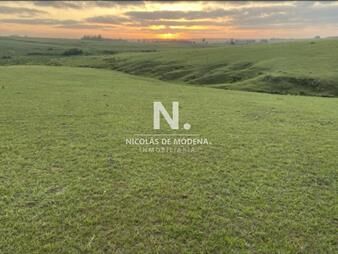 https://web5.gallito.com.uy/vende-excelente-campo-en-jose-ignacio-ideal-fin-inmuebles-25306197