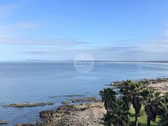 https://www.gallito.com.uy/apartamento-3-dormitorios-servicio-en-acantilados-punta-inmuebles-26737426