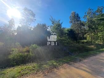 https://www.gallito.com.uy/venta-de-lote-en-eden-rock-ref-pbi14740-inmuebles-27206123