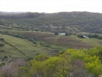 https://web5.gallito.com.uy/campo-en-lavalleja-i-ha-95-i-ic33-inmuebles-26631745
