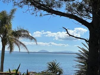 https://web5.gallito.com.uy/lomo-punta-ballena-vista-al-mar-inmuebles-27155841