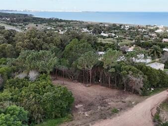 https://web5.gallito.com.uy/venta-terreno-punta-ballena-1022m2-usd-s140000-inmuebles-27038022