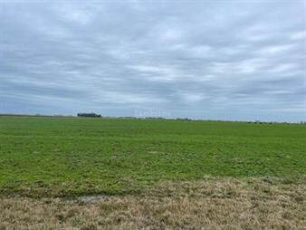 https://web5.gallito.com.uy/estancia-ganadera-agricola-en-lavalleja-inmuebles-27343095