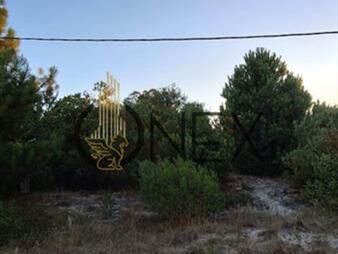 https://www.gallito.com.uy/venta-de-terreno-en-jaureguiberry-inmuebles-27307122