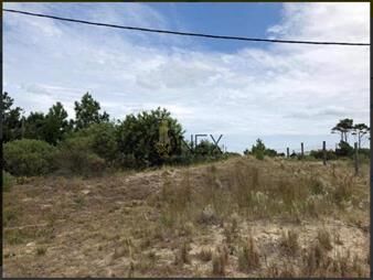 https://www.gallito.com.uy/venta-de-terreno-en-jaureguiberry-inmuebles-27307075