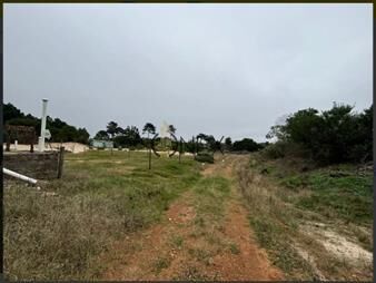 https://www.gallito.com.uy/venta-de-terreno-en-jaureguiberry-inmuebles-27307123