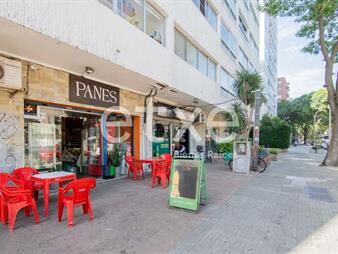 https://web5.gallito.com.uy/venta-de-local-comercial-en-parque-rodo-inmuebles-25097815