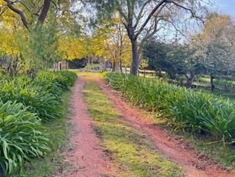 https://www.gallito.com.uy/campo-de-4-has-1602-m2-muy-cerca-de-ruta-12-y-la-inmuebles-27347548