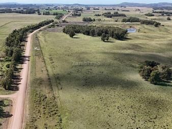 https://web5.gallito.com.uy/campo-ganadero-forestal-en-minas-inmuebles-27342719