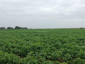 https://www.gallito.com.uy/establecimiento-agricola-ganadero-inmuebles-27347763