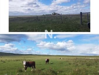 https://www.gallito.com.uy/vende-campo-en-salto-costas-de-arerungua-inmuebles-26357558