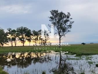 https://www.gallito.com.uy/en-venta-campo-en-treinta-y-tres-ubicado-a-12-de-inmuebles-25273367