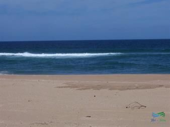 https://www.gallito.com.uy/145-has-al-sur-de-ruta-10-con-vista-al-mar-inmuebles-22538605