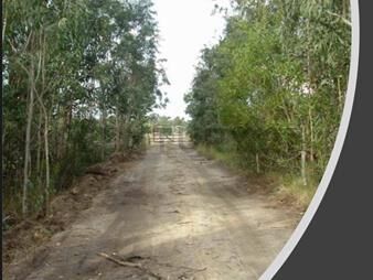 https://www.gallito.com.uy/venta-de-exclusivo-terreno-mas-chacra-117-hectareas-en-la-inmuebles-27352043