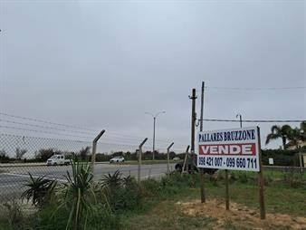 https://web5.gallito.com.uy/rambla-t-berreta-esq-french-ultimo-predio-disponible-sin-inmuebles-25979071
