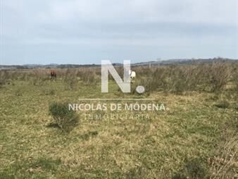 https://www.gallito.com.uy/campo-en-abra-del-perdomo-maldonado-inmuebles-25038067