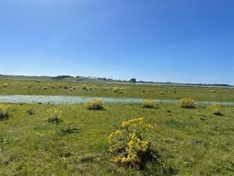 https://web5.gallito.com.uy/campo-agricola-ganadero-en-rocha-inmuebles-27370172