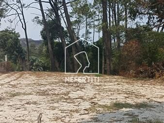 https://www.gallito.com.uy/hermoso-terreno-proximo-al-centro-inmuebles-24614572