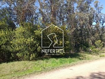 https://www.gallito.com.uy/venta-terreno-en-bella-vista-a-tan-solo-500-del-inmuebles-24614453