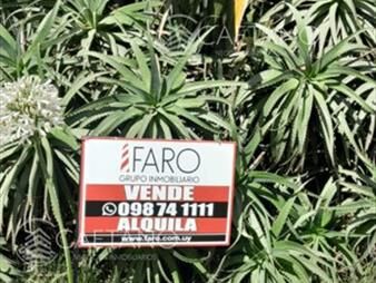https://web5.gallito.com.uy/casa-en-estilo-cabaã±a-en-balneario-buenos-aires-inmuebles-27085756