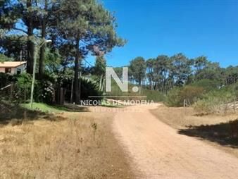 https://web5.gallito.com.uy/emocionante-oportunidad-de-terreno-rodeado-de-y-inmuebles-25042725