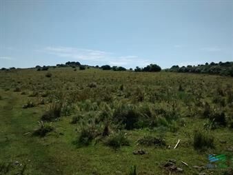 https://www.gallito.com.uy/26-has-garzon-a-10-kms-del-pueblo-inmuebles-27374372