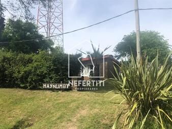 https://www.gallito.com.uy/amplia-casa-de-4-dormitorios-a-2-cuadras-de-la-inmuebles-24614305
