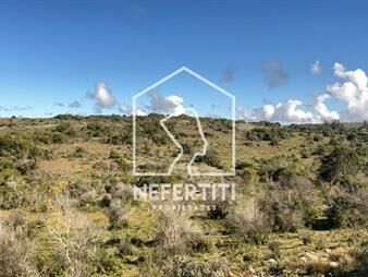 https://www.gallito.com.uy/campo-90-hectareas-ideal-para-barrio-privado-inmuebles-27374513