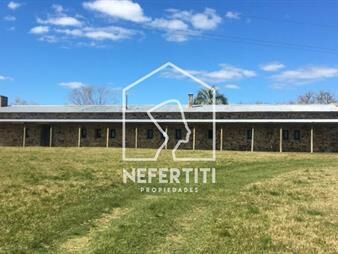 https://www.gallito.com.uy/hermosa-chacra-5ha-con-olivos-inmuebles-27374530