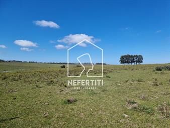 https://www.gallito.com.uy/25-hectareas-en-ruta-9-y-camino-de-los-ceibos-inmuebles-27374532