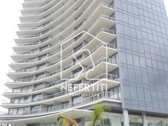 https://web5.gallito.com.uy/hermoso-apartamento-2-dormitorios-3-baños-4-inmuebles-27374534