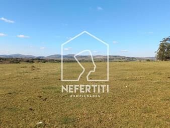 https://www.gallito.com.uy/campo-10ha-a-5km-de-pueblo-eden-inmuebles-27374553