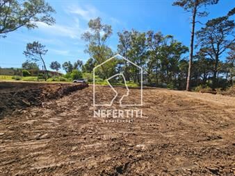 https://www.gallito.com.uy/venta-terreno-en-punta-colorada-inmuebles-27374573