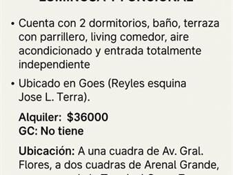 https://web5.gallito.com.uy/alquiler-de-apartamento-tipo-casa-en-goes-inmuebles-27378106