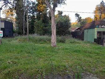 https://web5.gallito.com.uy/terreno-en-el-sueño-inmuebles-27156101