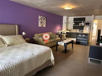 https://web5.gallito.com.uy/hermoso-monoambiente-amueblado-a-cuadras-de-inmuebles-27379170