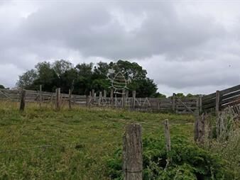 https://www.gallito.com.uy/campo-en-la-coronilla-con-casco-inmuebles-26818404